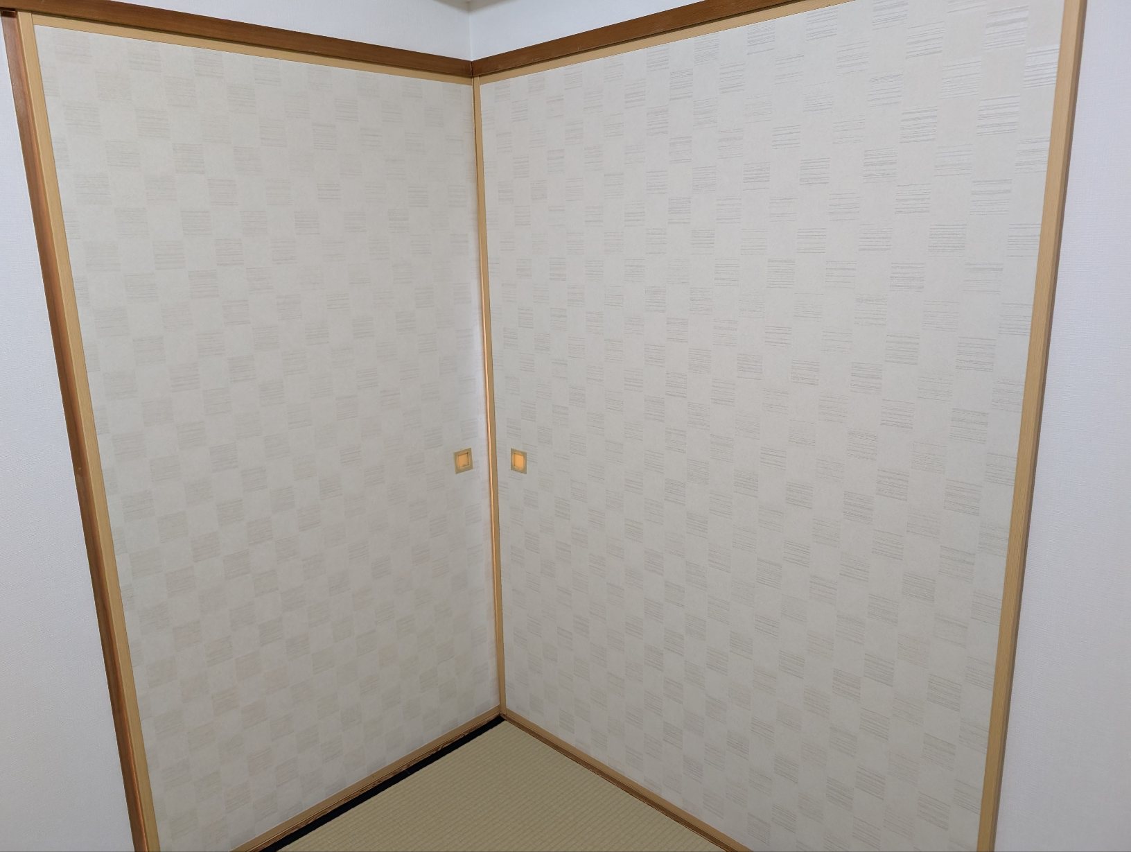 PXL_20240805_040242413